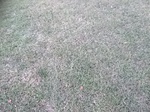 2020-09-30_15-47-28_2020-9-30-7-23-4.jpg