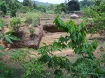 494719042008(31).JPG