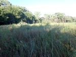 2020-11-19_10-05-31_P8260039_P1_C4.JPG