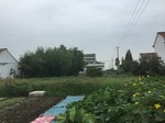 2017-09-10_07-07-08_9ED659CF-1E30-45C5-BAC5-8A39E78DD5D0.jpg