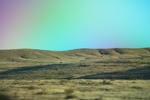 2022-01-21_16-37-43_4E8A6510.JPG