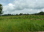 20802P1020661.JPG