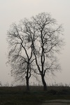 4223IMG_8861.JPG