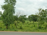 18521P1000357.JPG