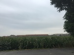 2017-09-12_10-43-32_4DC4E44D-D842-4D39-9616-D5338E9C7560.jpg