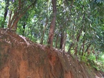 17519100_2780.JPG