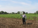 7948gt80b_cropland_maize.jpg