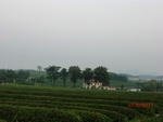 39068CIMG4408.JPG