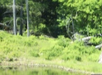 2022-06-11_17-54-55_6D3B0B83-F2CF-4392-8DCF-0C7E96B462A0_1_201_a.jpeg