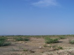 523726042008(41).JPG