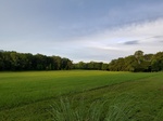 2017-06-12_18-07-58_20170605_195041.jpg