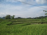 15200IMG_4020.JPG