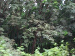 1704511052008(52).JPG