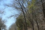 2016-07-12_16-23-03_2016-04-16 10.09.08.jpg