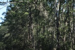 2018-04-30_11-47-37_2017-10-25 08.52.50.jpg