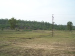 17359100_2045.JPG