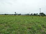 18586P1000423.JPG