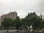 2017-09-10_06-24-58_C6BDB719-D9B7-4CDD-ACFE-5C6FB43DB919.jpg