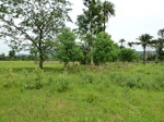 18433P1000269.JPG