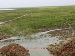 38937CIMG4853.gps.jpg