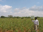 9875gt112a_cropland_bajra_jowar.gif