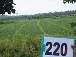 127880220a-rainfed-agriculture-soyabean-dominant-gram.gif