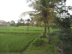 14524IMG_4883.JPG