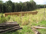 14195IMG_4534.JPG