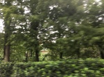 2017-09-10_20-32-40_C90FF790-AB4C-40E4-A3FC-1CE03CCA5AED.jpg