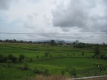 14253IMG_4593.JPG