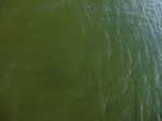 2012-09-21_14-25-56_CIMG3122.JPG