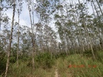 2012-09-26_20-49-58_CIMG0967.JPG