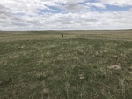 2017-05-27_13-15-23_0F8B8283-74A9-4505-A157-7D4A127D2FE2.jpg