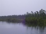 1371R0015135_small.jpg