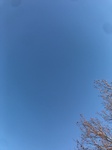 2020-12-10_07-55-24_2020-12-10-7-54-28.jpg