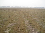8495IMG_0320.JPG