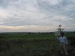 7905gt106c_cropland_rice.jpg