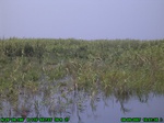 1428R0015163_tag.jpg