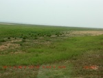 38848CIMG4777.gps.jpg