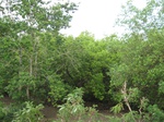 14216IMG_4556.JPG