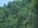 2012-09-08_20-00-48_RIMG0057.JPG