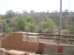 4012RIMG0316.JPG