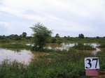 828837-wetlands-seasonal-b.jpg