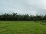 20383P1020240.JPG
