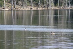 393IMG_3502.JPG