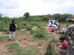 1044725-cropland-chena-1yr-fallowa.gif