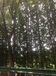 2017-09-12_12-58-36_A74ADA6E-399E-41C8-A700-1DFD4C21807E.jpg