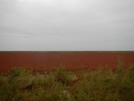 2012-10-22_03-12-26_DSCN2431.JPG
