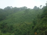2012-09-08_19-26-39_RIMG0042.JPG