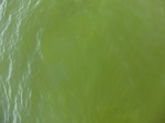 2012-09-21_14-25-37_CIMG3167.JPG